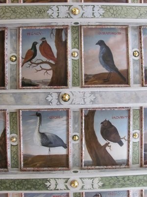 Pinturas de aves en techo