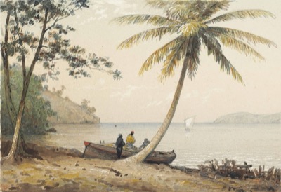 Costa tropical con palmeras y botes — Michel Jean Cazabon