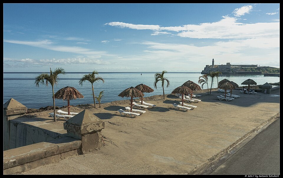 Bienal de La Habana 2015 (35807543456)