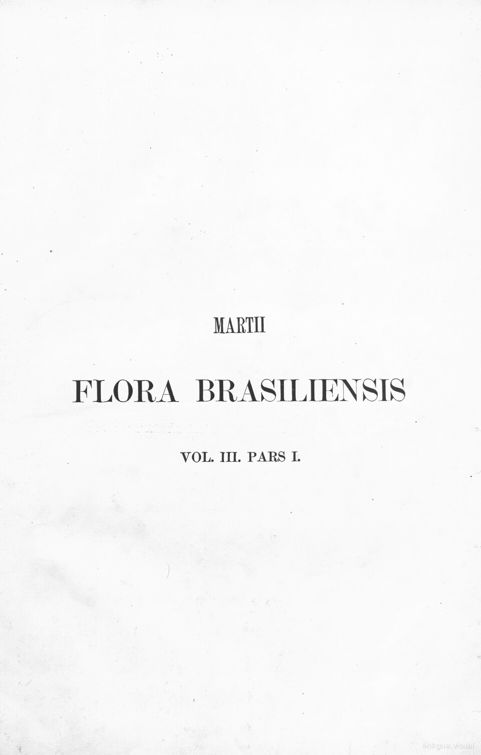 Flora brasiliensis