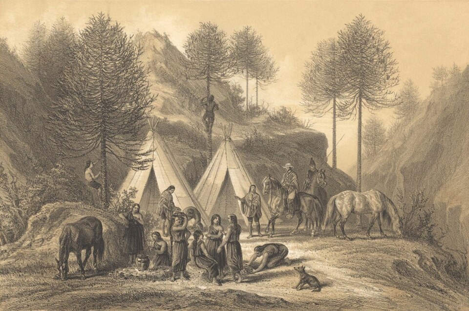 Campamento indígena andino con araucarias, caballos y tiendas