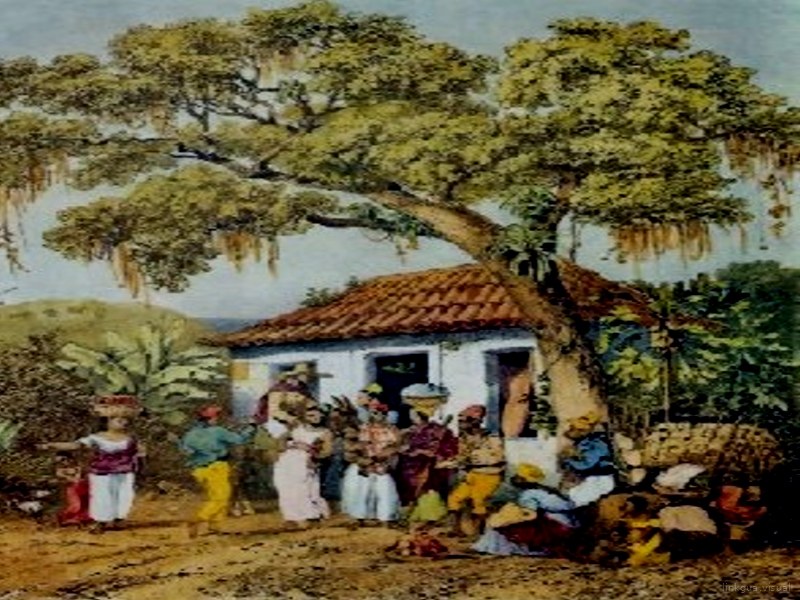 Reunión rural: gente bajo árbol de raíces aéreas, junto a casa