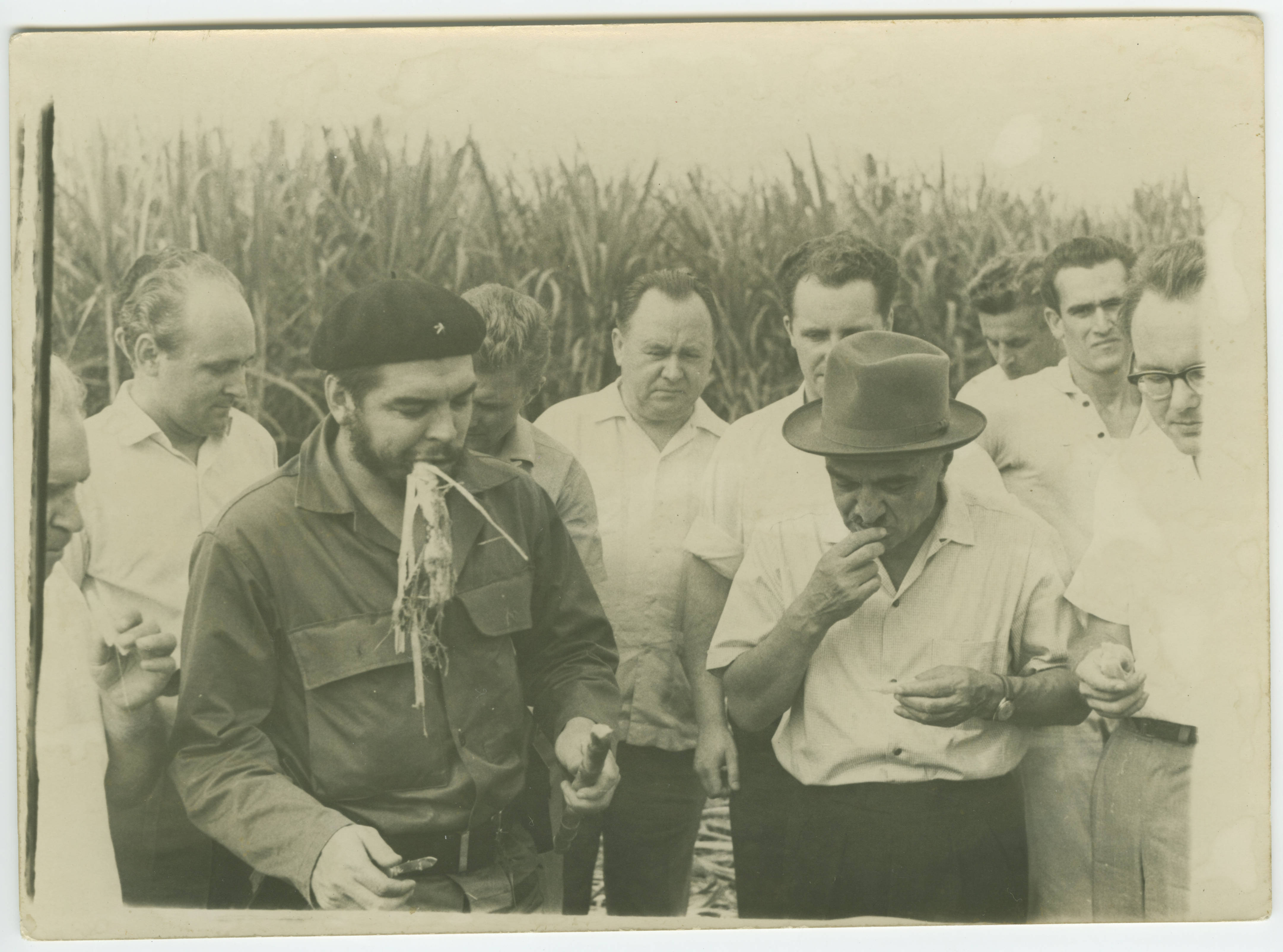 Ernesto Che Guevara and Anastas Mikoi͡an chewing sugar cane — Anónimo