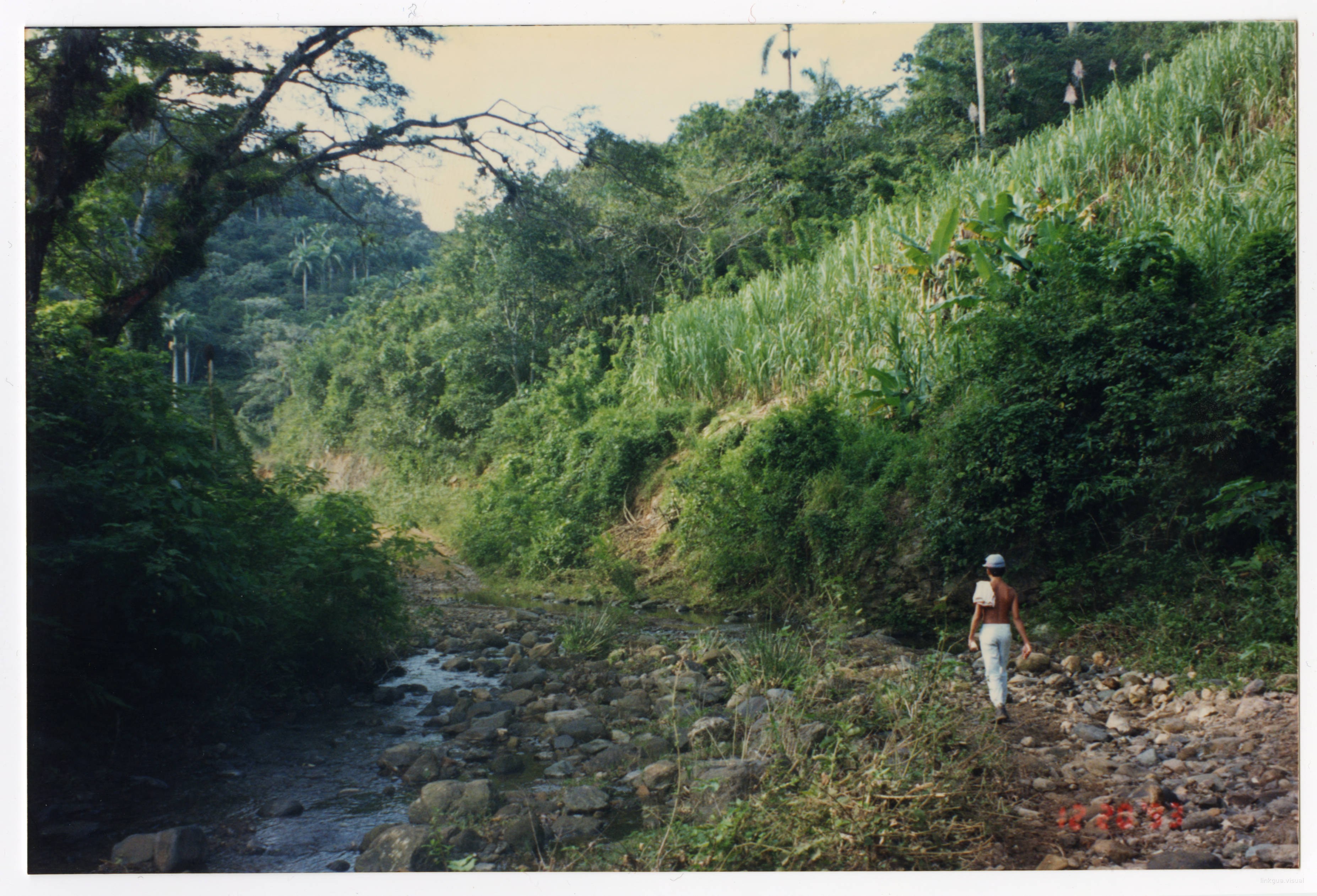 Zona rural en Oriente