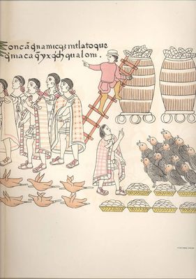 Códice Mendocino: — Tributo de aves y granos — Anónimo tlaxcalteca