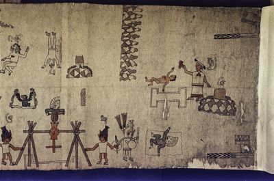 Rollo Selden, lámina, nº 7 — Tlacuilo anónimo, tradición mixteca-puebla
