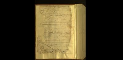 Boceto de ornamentación vegetal en un manuscrito — Anónimo mixteco