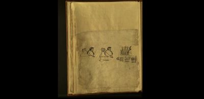 Códice con figuras y glifos — Anónimo mixteco