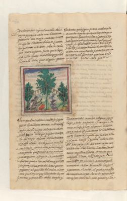 Enfrentamiento ceremonial entre guerreros. Folio 273 — Anónimo novohispano