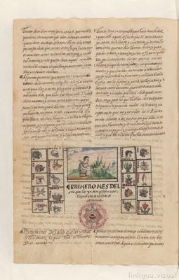Quinto mes: Toxcatl. Folio 331 — Anónimo novohispano