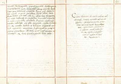 Códice Badiano, — Lámina, nº 51 — Tlacuilo anónimo