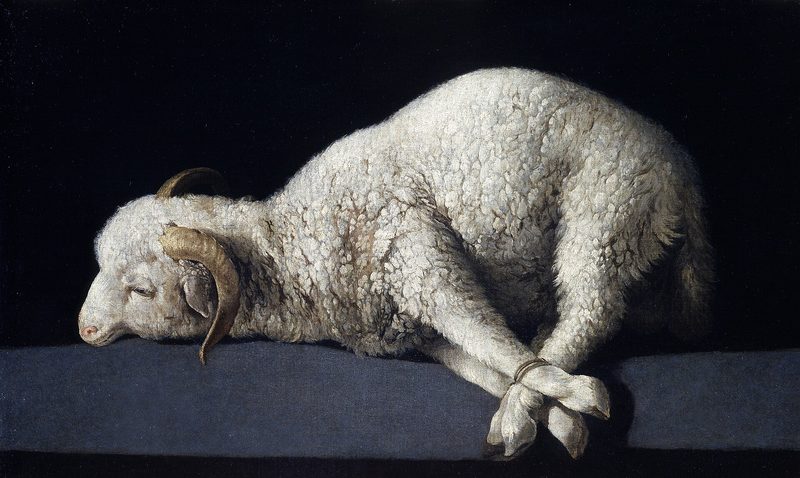Agnus Dei Zurbarán — Francisco de Zurbarán