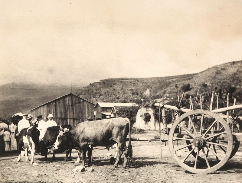 Caribe 782d68778e9e, nº 62 — Anónimo (fotografía histórica)