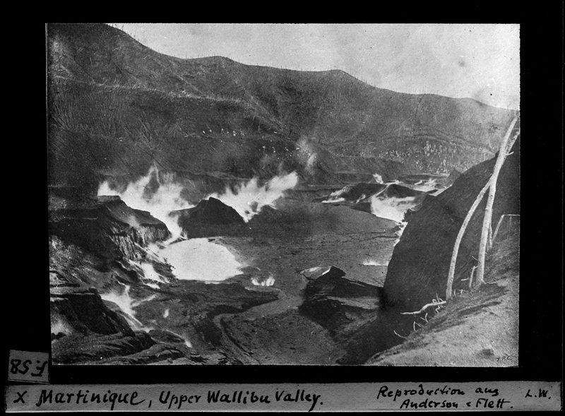 Martinica, valle alto de Wallibu, reproducción de Anderson y Fleet — Leo Wehrli