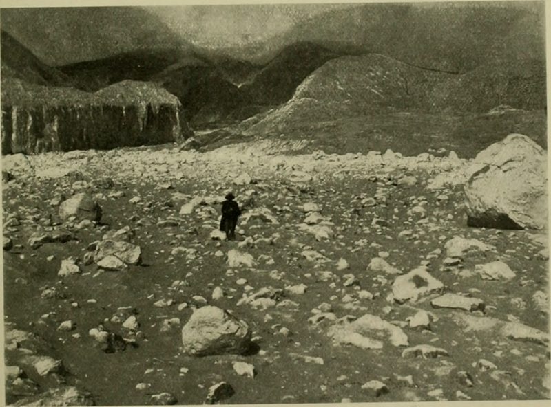 La revista del Museo Americano de Historia Natural, C. 1900-1918 — Arte del Caribe