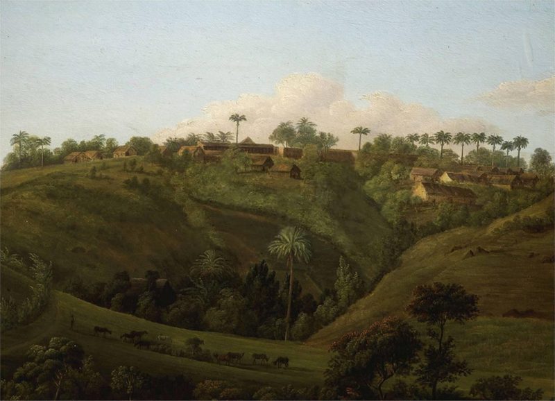Vista de la Martinica — Anónimo