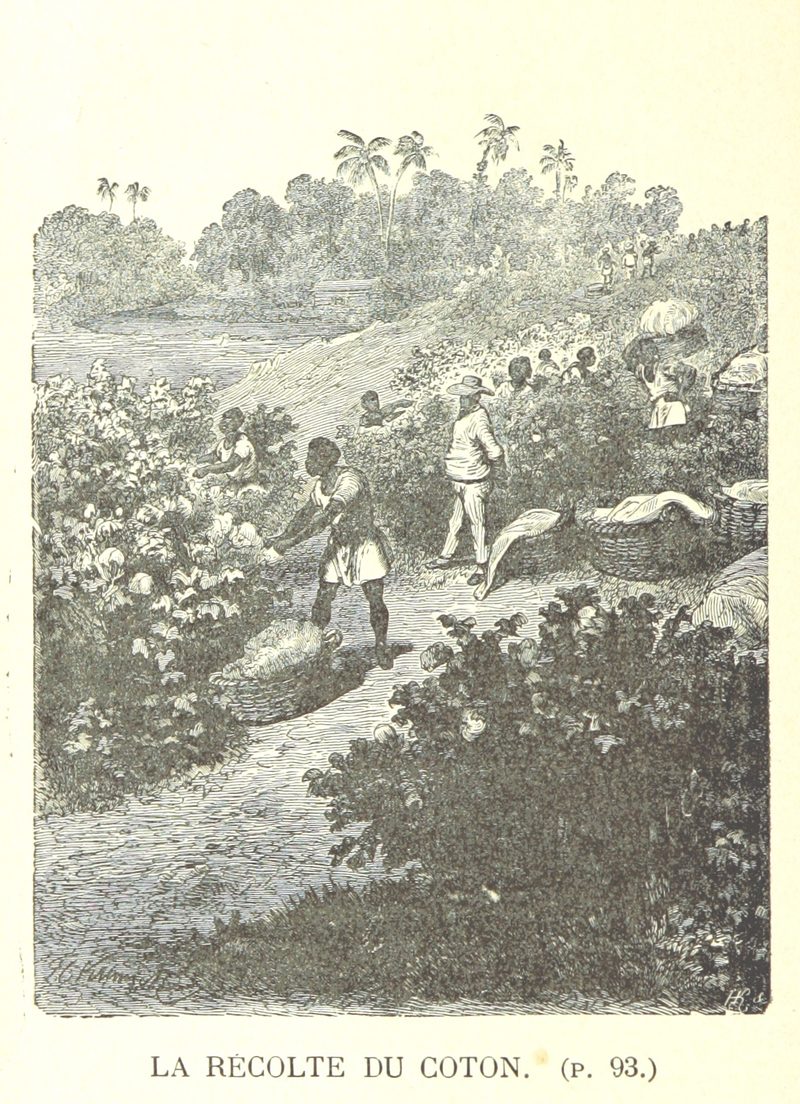 LA SELVE(1889) p108 — Arte del Caribe