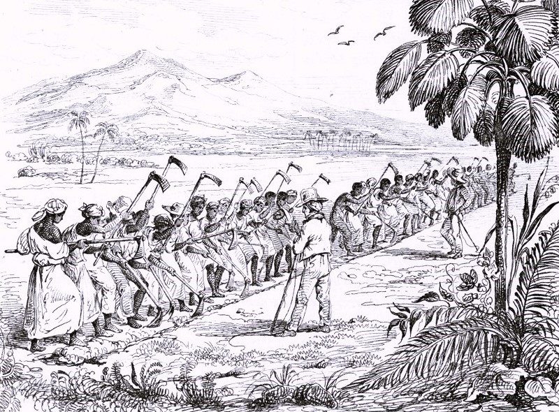 Esclavos trabajando en Martinica, hacia — Julien-Léopold Boilly