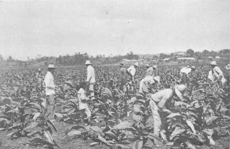 Álbum histórico fotográfico — guerra hispanoamericana, lámina — Anónimo