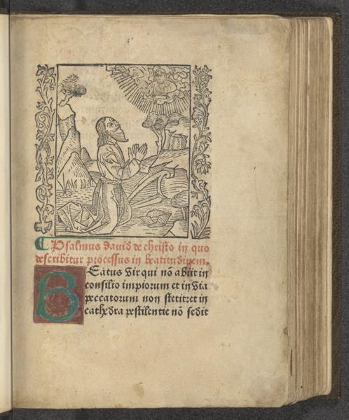 Psalmus Dauid de Christo in quo describitur procesus in beatitudinem — No identificado