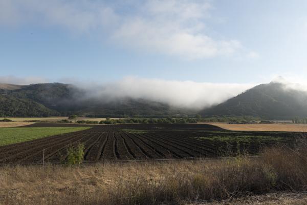Farm scenes on route 101, el Camino Real Highway, California — No identificado