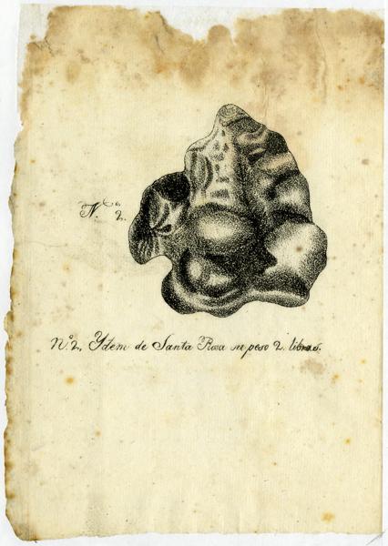 Report on the Different Masses of Iron, Found in the Eastern Cordillera of the Andes — No identificado