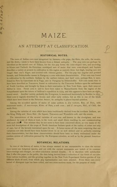 Maize: an attempt at classification — No identificado