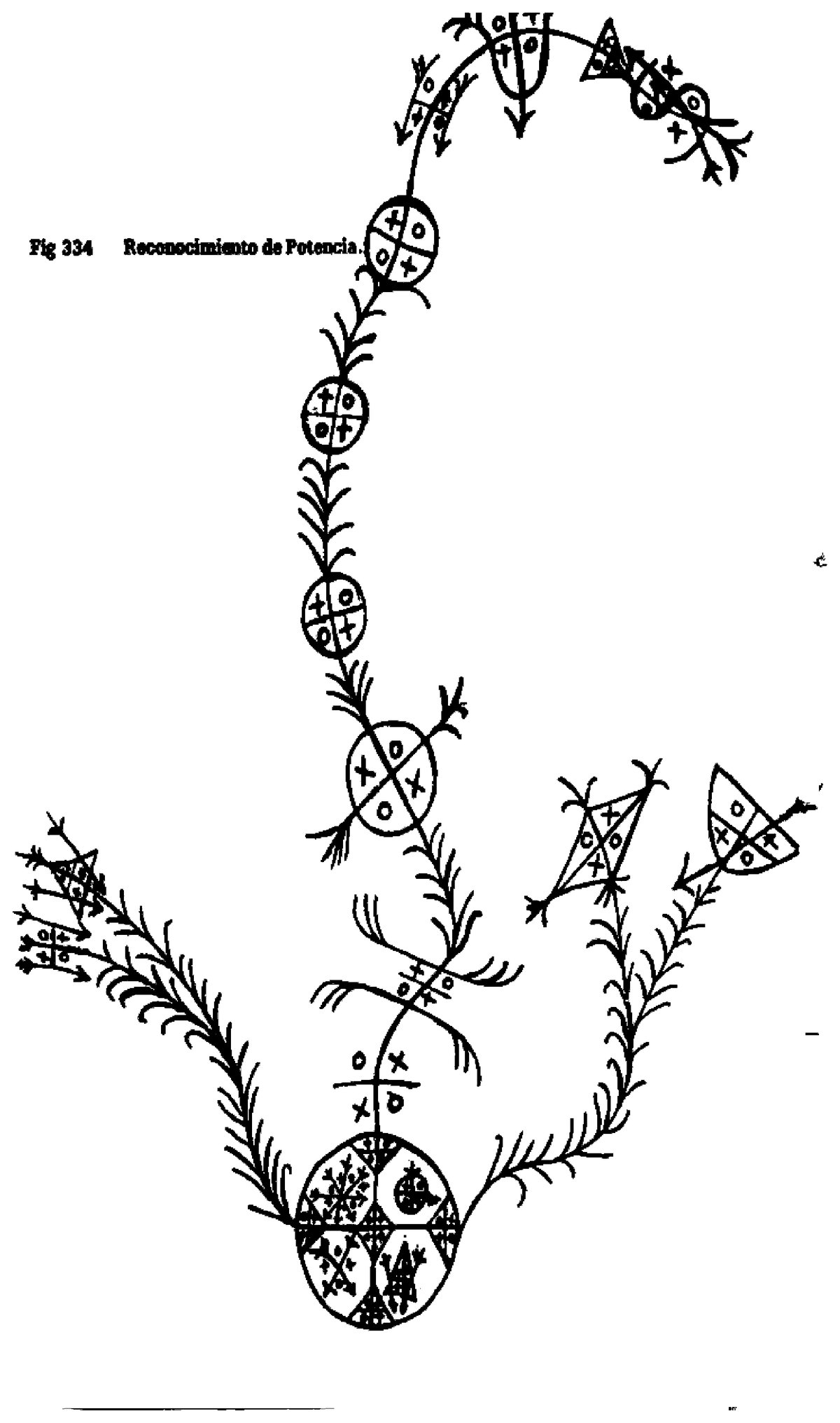 Anaforuana, lámina 3544