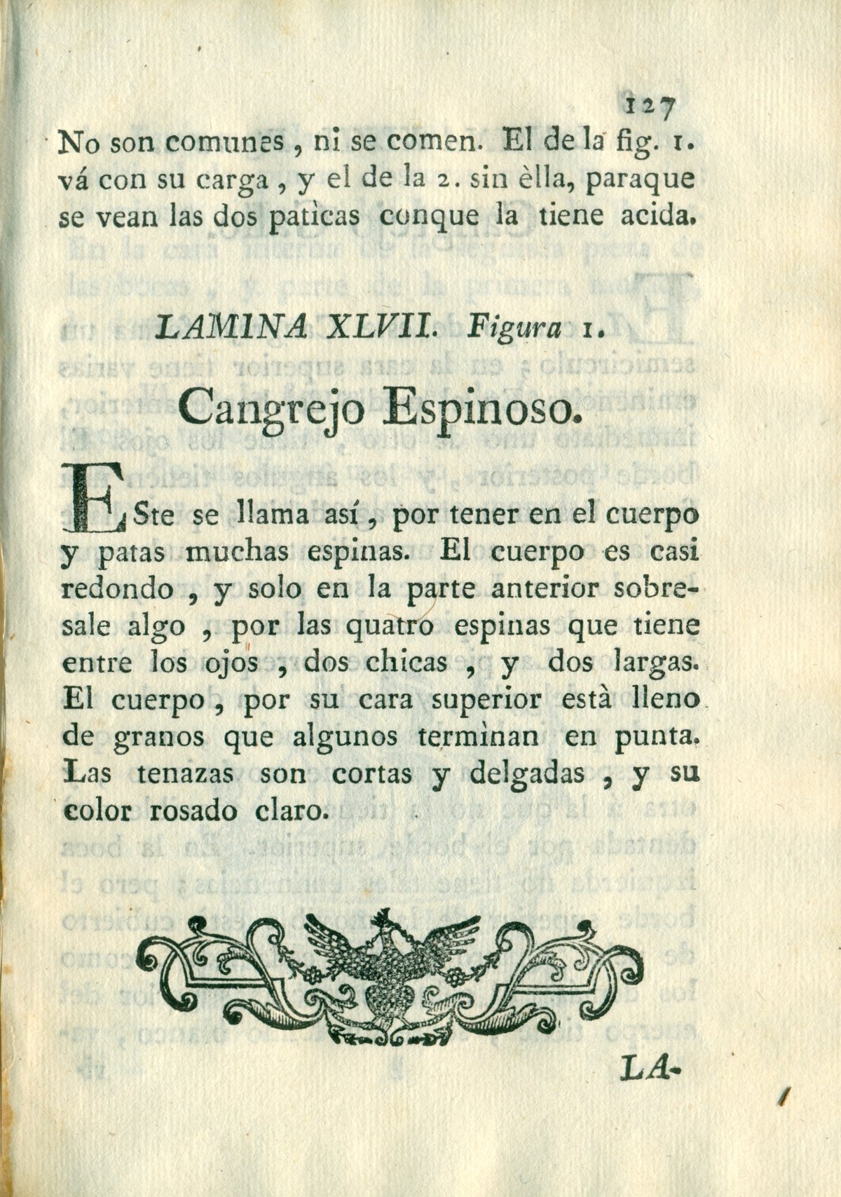 Descripción de diferentes piezas de historia natural, lámina 5004