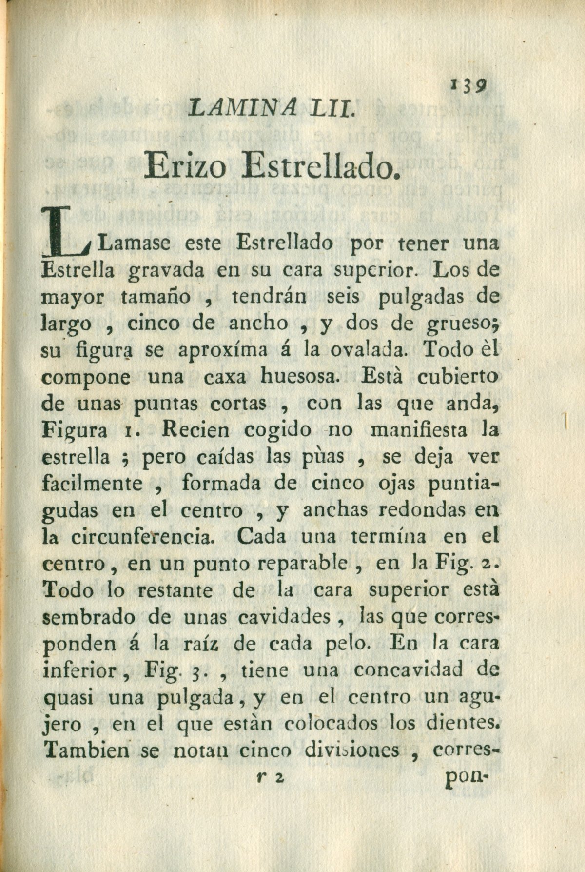 Descripción de diferentes piezas de historia natural, lámina 5018