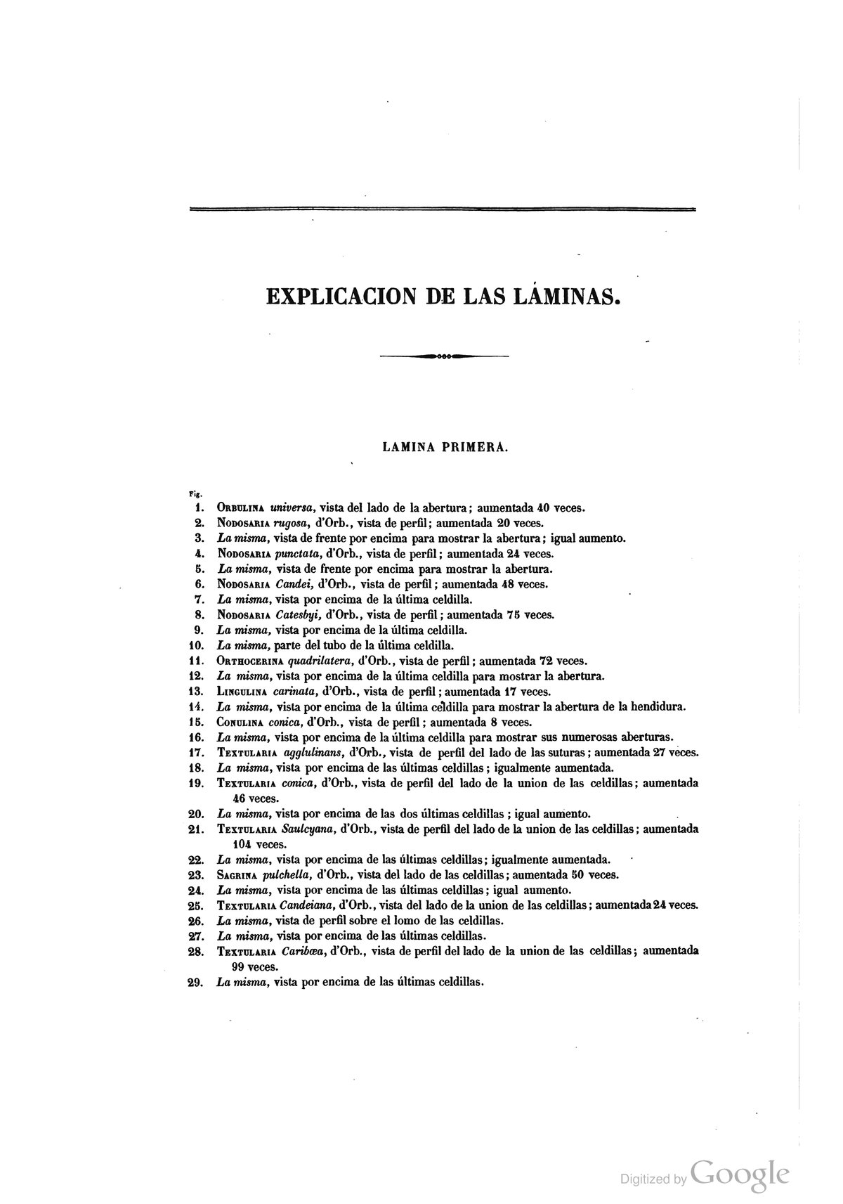 Explicacion de las Láminas