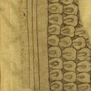 Detalle de textura de tejido o piel de reptil