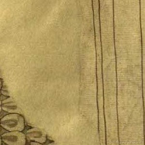 Detalle de un pergamino o tela con motivos vegetales