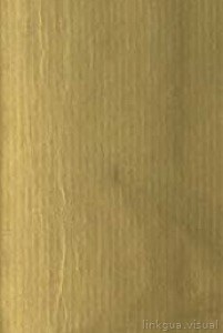 Portada de libro antiguo con textura de papel acanalado