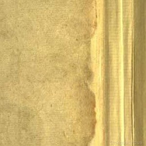 Detalle de encuadernación antigua de libro