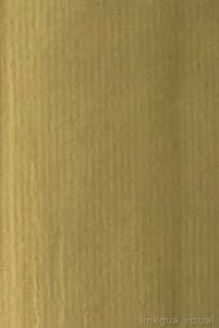 Textura de papel envejecido con líneas verticales