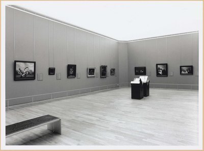 Sala de museo moderna con cuadros en paredes grises, suelo de madera y banco — Albert Eckhout