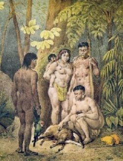 Pintura etnográfica del Brasil holandés, lámina — Albert Eckhout