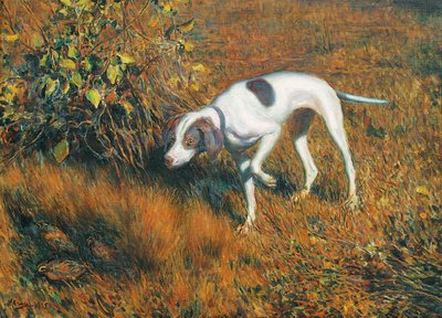 Cuca parando una codorniz cuca retrieving a quail armando me — Armando Garcia Menocal