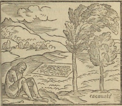 F 103r cacauate — Girolamo Benzoni