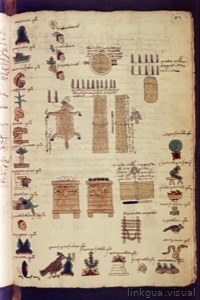 Códice con anotaciones pictográficas y glifos