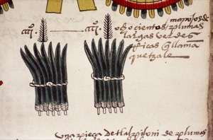 Representación de Plumas y Detalle de Códice — Anónimo mixteco