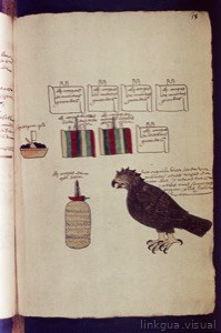 Páginas de un códice precolombino con glifos y dibujos