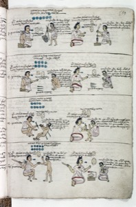 Páginas de Códice con representaciones de actividades — Anónimo mixteco