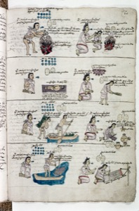 Códice Selden, — Folio, lámina — Anónimo mixteco