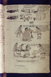 Representación de rituales y escenas de la vida prehispánica — Anónimo mixteco