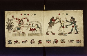 Bodleian library ms laud misc p 013d 012d — Anónimo tlacuilo, tradición mixteca