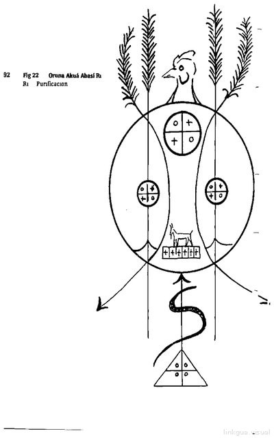Anaforuana, lámina 3172