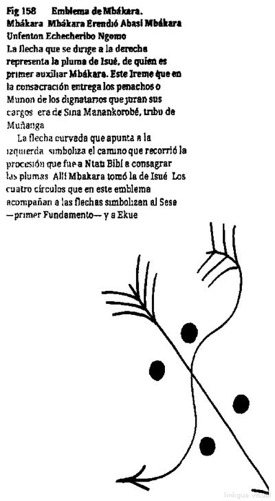 Anaforuana, lámina 3335