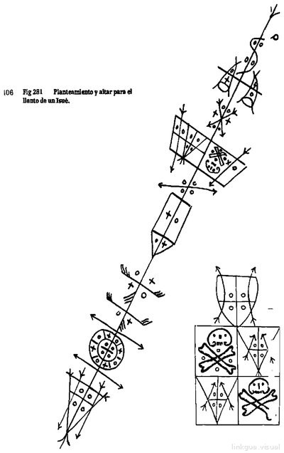 Anaforuana, lámina 3486